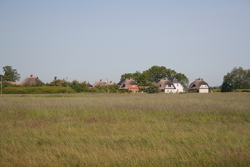 Killikus® Fotographie Killikus® Fotographie